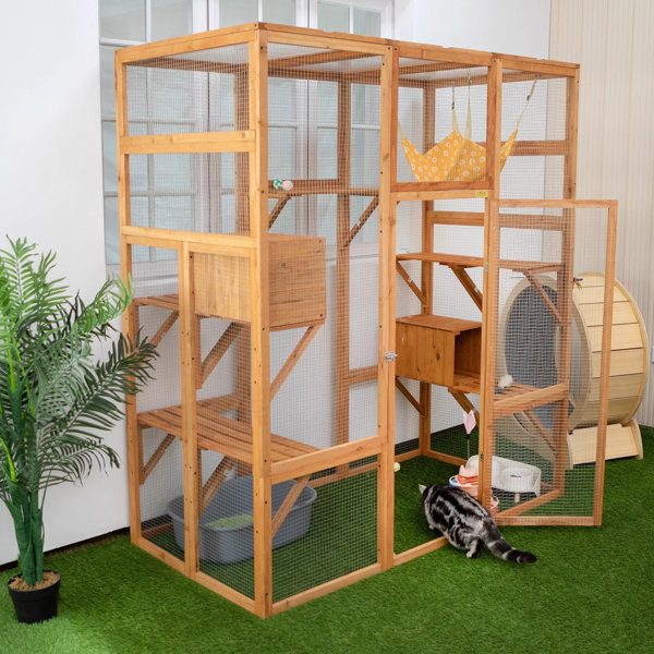 Dog and cat outlet cages